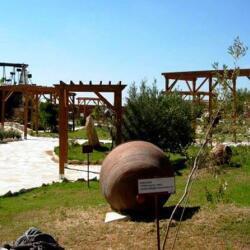 Oleastro Organic Olive Park In Anogyra